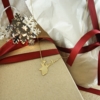 gold plated stag necklace on a gift box with snowflake lights