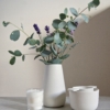 white earternware vase, tea-bowl and tea-strainer by sue pryke for home of juniper with eucalyptus