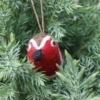 mini felt robin decoration hanging in a juniper tree