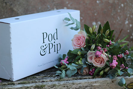 snowberry flower box from pod and pip