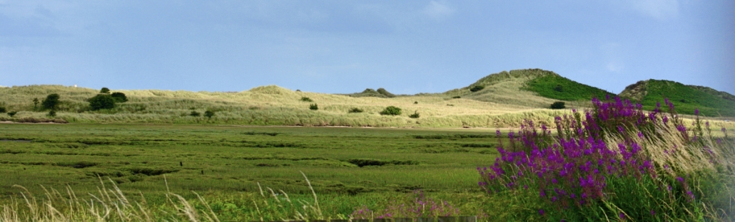 northumberland-landscape-blog-homeofjuniper