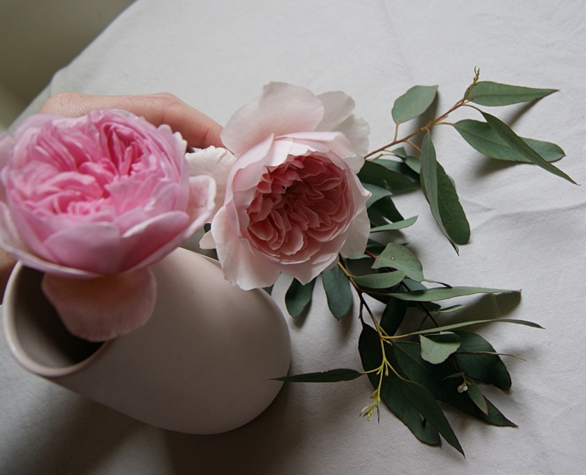pink roses being put into a pink rose