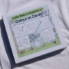 bug-cards-colour-in-card-set-little-nature-explorers-homeofjuniper-child-gift