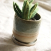 ceramic-planter-felt-succulent