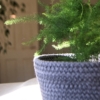 grey-cotton-rope-planter-fern
