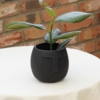 tall-brick-black-face-plant-pot