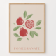 pomegranate print